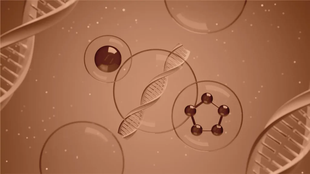 Composition des ingrédients clés de la Formule Anti-Âge NAD+ Mihi : Nicotinamide Riboside, Collagène, Acide Hyaluronique.